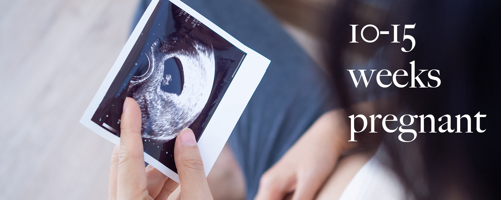 You and your baby at 10 - 15 weeks pregnant