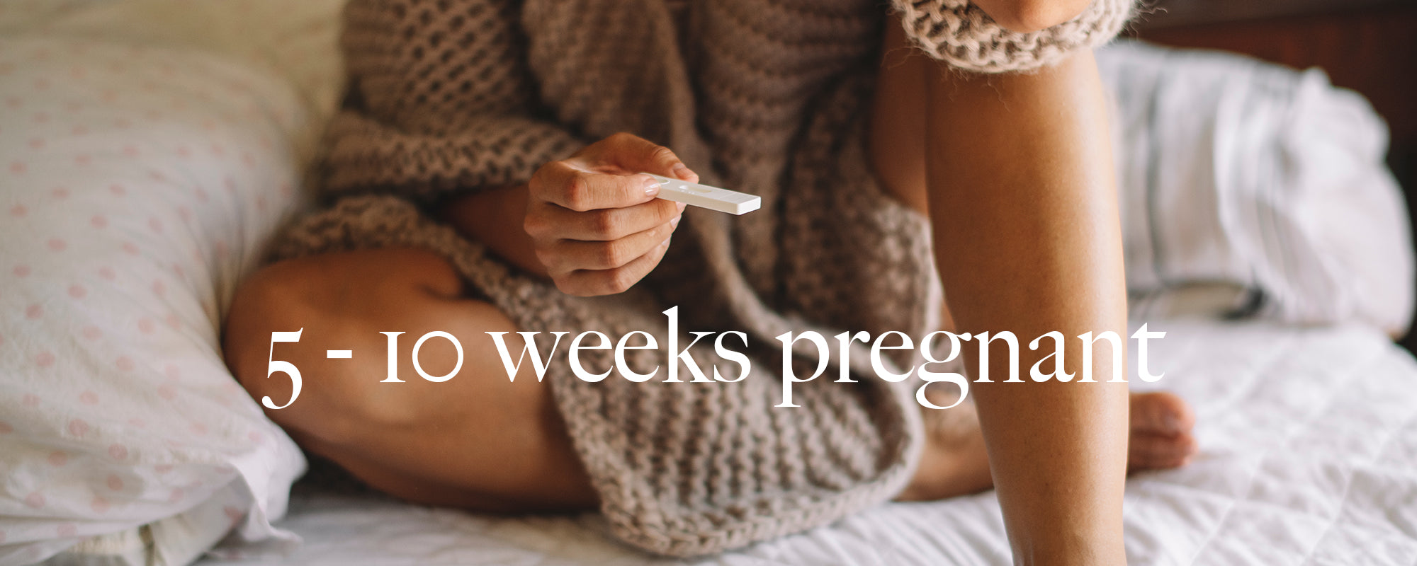 You and your baby at 5 - 10 weeks pregnant