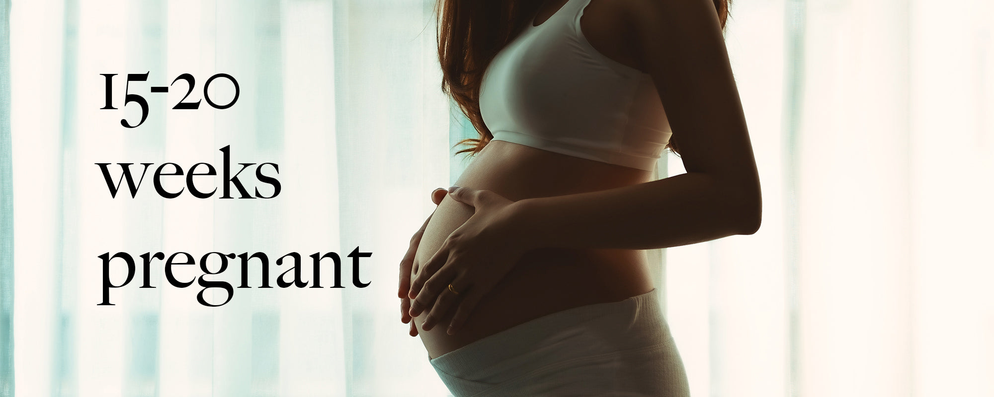You and your baby at 15 - 20 weeks pregnant
