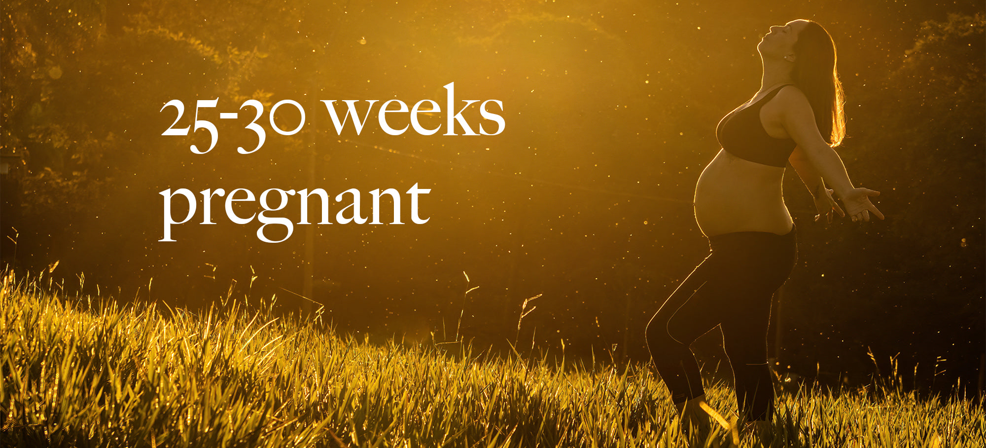 You and your baby at 25-30 weeks